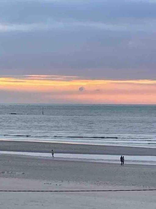 Au 154 Bis - Joli Appartement Avec Grande Terrasse Et Proche De La Plage A Malo Dunkirk Luaran gambar